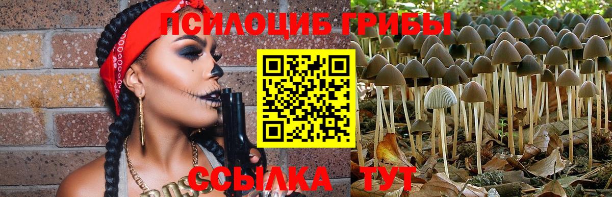 Галлюциногенные грибы Magic Shrooms  Вход с VPN  Северск  Галлюциногенные грибы Psilocybe 